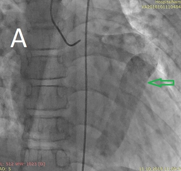 Description: C:\Users\Семен\AppData\Local\Microsoft\Windows\INetCache\Content.Word\ang.jpg