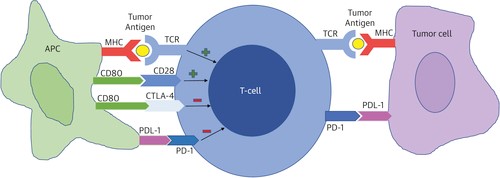 Description: Figure 1. 