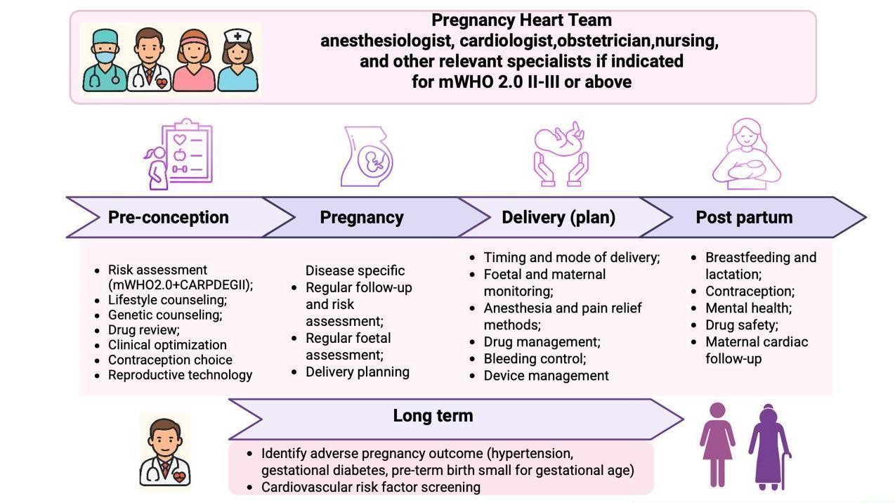 Description: Figure 1